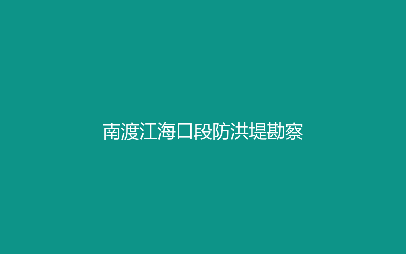 代表性工程 · 南渡江海口段防洪堤勘察